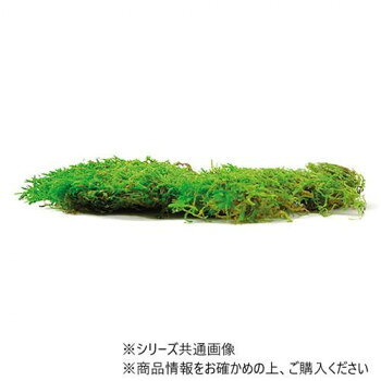 ■北海道・沖縄・離島へのお届けは別途送料を請求させていただきます。 ■製品の仕様・画像・パッケージは、変更される場合があります。 ■当店では在庫をメーカーと共有しており、商品によっては欠品の場合がございます。 　万一、ご注文頂きました商品が欠品の場合はご連絡させていただきます。 ■ご注文確定後のキャンセル不可です。 ■ラッピング（包装）対応不可です。フラットモスです。サイズ個装サイズ：31×31×6cm重量約200g個装重量：260g仕様敷き詰め面積:約45cm角生産国スペイン 広告文責（ホライズン・03-5843-9512)fk094igrjs