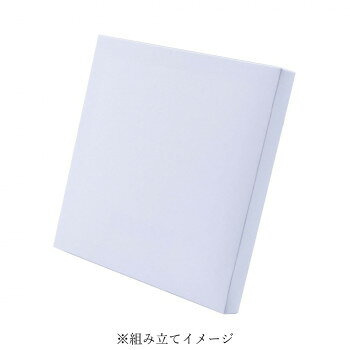 ■北海道・沖縄・離島へのお届けは別途送料を請求させていただきます。 ■製品の仕様・画像・パッケージは、変更される場合があります。 ■当店では在庫をメーカーと共有しており、商品によっては欠品の場合がございます。 　万一、ご注文頂きました商品が欠品の場合はご連絡させていただきます。 ■ご注文確定後のキャンセル不可です。 ■ラッピング（包装）対応不可です。描いた絵を組み立てて、簡単にキャンバスのように飾ることができます。スタンドとフック穴付きで、卓上と壁掛け両方で飾ることができます。サトウキビから作られたバガスパルプを10〜20%配合した環境対応紙を使用。クレヨン、色鉛筆、マーカー、絵の具など、画材を選ばず楽しめます。サイズ組み立て時:約W210×D20×H210mm、組み立て前:約W359×H436mm個装サイズ：49×37×1cm重量1枚あたり:約48g個装重量：186g素材・材質紙セット内容本体×2生産国日本 広告文責（ホライズン・03-5843-9512)fk094igrjs