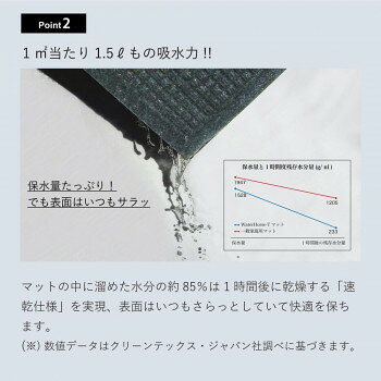 (クリーンテックス) ウォーターホース T (ワッフル) グリーン 44×74 cm [3]