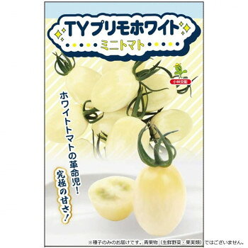 ■北海道・沖縄・離島へのお届けは別途送料を請求させていただきます。 ■製品の仕様・画像・パッケージは、変更される場合があります。 ■当店では在庫をメーカーと共有しており、商品によっては欠品の場合がございます。 　万一、ご注文頂きました商品が欠品の場合はご連絡させていただきます。 ■ご注文確定後のキャンセル不可です。 ■ラッピング（包装）対応不可です。白い果皮のプラム型ミニトマト品種です。果重20g程度のミニトマト品種で、糖度は10度前後、酸味が少なく、非常に美味しいです。早生品種で、花数多く収量性優れています。トマト黄化葉巻病やタバコモザイクウィルスTm-2a、葉かび病(Cf9)、半身萎凋病、疫病の複合耐病性を示し、栽培容易です。【栽培のポイント】・定植は第1花房開花時に行い、1番果を必ず着果させる。・追肥は1番果の色付き始めに行い、その後は草勢を確認しながら適宜施用する。・高温期の着果では尻腐れが出やすいため、極端な水切りは避ける。・生育後半に果形が乱れやすいため、潅水や追肥により草勢を維持する。【注意事項】※種子は播種後の栽培条件、天候事情により、その結果が異なる場合がございます。万が一、結果不良でも保証はできかねます。※一部地域(郡部・山間部等)は時間帯指定不可となります。サイズ個装サイズ：15×10×1cm重量個装重量：30g仕様内容量:小袋(7粒)生産国韓国 広告文責（ホライズン・03-5843-9512)fk094igrjs