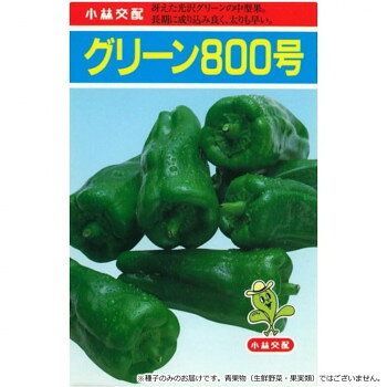 ■北海道・沖縄・離島へのお届けは別途送料を請求させていただきます。 ■製品の仕様・画像・パッケージは、変更される場合があります。 ■当店では在庫をメーカーと共有しており、商品によっては欠品の場合がございます。 　万一、ご注文頂きました商品が欠品の場合はご連絡させていただきます。 ■ご注文確定後のキャンセル不可です。 ■ラッピング（包装）対応不可です。姿はやや横繁性となり節間短く、葉は小葉タイプになります。果は、濃緑の中獅子型。収穫適果は果重25g前後・果長7〜8cm・果肉は約2mm、成り込みよく太りが早いです。夏場でも色・艶が冴え、長期間にわたり収穫が上がります。低温・高温などによる奇形果は少ないです。【栽培のポイント】・着果性がよく、節間がつまるので、適期収穫と適切な肥培管理をする。特に乾燥期の灌水をおこたらないようにして、成り疲れによる収量の低下を防いでください。・定植は一番花の開花苗を定植する。裁植本数10アール当たり1200〜1300本。・老化苗の定植はさけてください。・強風に当たると株元から倒れてしまう危険があるので定植後の早い時期に支柱を立てて誘引しください。・寒さに弱いので早植えは避けてください。・連作障害を避けるためナス科の野菜を植えた圃場への定植は、4から5年作付けを見合わせてください。【注意事項】※種子は播種後の栽培条件、天候事情により、その結果が異なる場合がございます。万が一、結果不良でも保証はできかねます。※一部地域(郡部・山間部等)は時間帯指定不可となります。サイズ個装サイズ：20×20×2cm重量個装重量：20g仕様内容量:20ml生産国タイ 広告文責（ホライズン・03-5843-9512)fk094igrjs