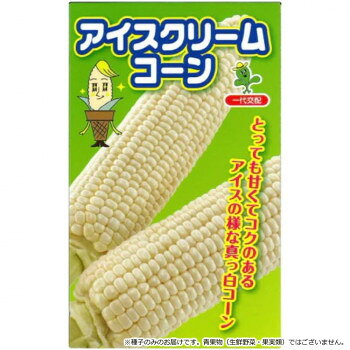 ■北海道・沖縄・離島へのお届けは別途送料を請求させていただきます。 ■製品の仕様・画像・パッケージは、変更される場合があります。 ■当店では在庫をメーカーと共有しており、商品によっては欠品の場合がございます。 　万一、ご注文頂きました商品が欠品の場合はご連絡させていただきます。 ■ご注文確定後のキャンセル不可です。 ■ラッピング（包装）対応不可です。熟期87〜90日の中晩生ホワイトコーン。ホワイト品種の中でも高い甘さで皮も柔らかく、食味は抜群です。先端不稔も少なく、秀品率も高い。粒揃いが良く、粒色が鮮やかで見栄えも良い。生育旺盛で草丈は200cm前後。穂はやや長めで、皮付き重400g以上になります。【栽培のポイント】・イエロー種と、バイカラー種のとうもろこしとは交雑するので、300m以上離して栽培する。・春まきでは高畝にして地温の上昇をはかる。あらかじめ地温を上げてから播種する。・雌穂の出穂期より収穫までの乾燥は、先端不稔・肥大不足・粒のしなびの原因となるので注意する。(とくに7月以降出荷のものは灌水必要。)【注意事項】※種子は播種後の栽培条件、天候事情により、その結果が異なる場合がございます。万が一、結果不良でも保証はできかねます。※一部地域(郡部・山間部等)は時間帯指定不可となります。サイズ個装サイズ：30×20×20cm重量個装重量：1000g仕様内容量:2000粒生産国チリ 広告文責（ホライズン・03-5843-9512)fk094igrjs