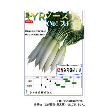 ■北海道・沖縄・離島へのお届けは別途送料を請求させていただきます。 ■製品の仕様・画像・パッケージは、変更される場合があります。 ■当店では在庫をメーカーと共有しており、商品によっては欠品の場合がございます。 　万一、ご注文頂きました商品が欠品の場合はご連絡させていただきます。 ■ご注文確定後のキャンセル不可です。 ■ラッピング（包装）対応不可です。萎黄病・ウイルス病に強い青首総太り大根です。白さび病・ワッカ病にもかなり強い耐病性があります。ス入りが極めて遅く、根形がくずれにくいので収穫期の幅が広いです。※種子は播種後の栽培条件、天候事情により、その結果が異なる場合がございます。万が一、結果不良でも保証はできかねます。※一部地域(郡部・山間部等)は時間帯指定不可となります。サイズ個装サイズ：20×20×2cm重量個装重量：20g仕様内容量:20ml生産国日本 広告文責（ホライズン・03-5843-9512)fk094igrjs