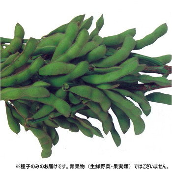 ■北海道・沖縄・離島へのお届けは別途送料を請求させていただきます。 ■製品の仕様・画像・パッケージは、変更される場合があります。 ■当店では在庫をメーカーと共有しており、商品によっては欠品の場合がございます。 　万一、ご注文頂きました商品が欠品の場合はご連絡させていただきます。 ■ご注文確定後のキャンセル不可です。 ■ラッピング（包装）対応不可です。特に大莢で、3粒莢と豊産性の高い、白毛の中性種になります。草丈は65cm前後で、草勢が強いので倒伏は少ないです。一般地の露地栽培では4月中旬から6月初旬まで播種可能で高温期にも着莢が安定し、収量多いです。普通栽培には最適の品種です。※種子は播種後の栽培条件、天候事情により、その結果が異なる場合がございます。万が一、結果不良でも保証はできかねます。【栽培のポイント】・土質はあまり選びませんが、有機物を多く含んだ保水力の有るところが良く、乾燥すると生育が悪くなり、欠粒莢が多くなります。・マルチ栽培、露地栽培では、畝幅60cm、株間30cmとし1株1本植をお勧めします。・施肥は前作の残効を考えて、施肥してください。10アール当たり堆肥2000kg、窒素5〜8kg、リン酸15kg、カリ15kgを目安とします。元肥は全面散布して耕うんします。露地栽培の場合は追肥として速効性の高い肥料を開花2週間前に施すと、莢のふくらみが良くなります。追肥の際に中耕を兼ねて株元に土寄せをし、倒伏を防ぎます。・病害虫防除、播種時に、ダイアジノンか、オルトラン粉剤をふり、アブラムシ等の発生を防ぎます。サヤタマバエは花の子房内に産卵し、幼虫は子実を食べさなぎとなります。莢が若いときにつくため、変形莢となったり、不稔の原因となり見映えが悪くなりますので、スミチオン乳剤を開花前半から一週間おきに2〜3回散布してください。乾燥期になるとハダニ類が発生して落葉の原因となるので殺ダニ剤の散布をしてください。※一部地域(郡部・山間部等)は時間帯指定不可となります。サイズ個装サイズ：20×20×15cm重量個装重量：200g生産国日本 広告文責（ホライズン・03-5843-9512)fk094igrjs