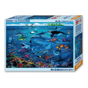 ビバリー 生物ジグソーパズル 海の生物おぼえちゃおう! 100ピース 100-029
