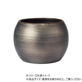 ■北海道・沖縄・離島へのお届けは別途送料を請求させていただきます。 ■製品の仕様・画像・パッケージは、変更される場合があります。 ■当店では在庫をメーカーと共有しており、商品によっては欠品の場合がございます。 　万一、ご注文頂きました商品が欠品の場合はご連絡させていただきます。 ■ご注文確定後のキャンセル不可です。 ■ラッピング（包装）対応不可です。鉄製なのに水漏れしない花器です。シンプルで工業的だけれども、様々な生花やグリーンに合います。注意点もらいサビ:錆びの発生を抑える加工をしておりますが、鉄粉の付着やもらいサビにより錆の発生が早まる場合がございます。ご使用前に水で内側(特に底の隅)を洗浄してからご使用いただくと、より錆びの発生抑制できます。個体差:色は個体差がございますが、お選びいただけません。また、不良対象とはなりません。※素材の特性上、炎天下では非常に熱くなる場合がございます。やけどにご注意ください。※色は個体差がございますがお選びいただけません。また不良対象とはなりません。※叩く際に、固いもの・鋭利なものをご使用になりますと傷がつく事がございますので、ご注意ください。※外れた際に下段が落下することがありますので、床から高くない位置で作業を行っていただき、商品や床に傷や凹みがつかないよう、床に段ボールなどの衝撃吸収材を置くことをお勧めします。サイズΦ12×H9cm、口径:Φ9.5cm個装サイズ：15×15×15cm重量約180g個装重量：500g素材・材質鉄生産国中国 広告文責（ホライズン・03-5843-9512)fk094igrjs