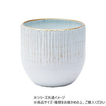 ■北海道・沖縄・離島へのお届けは別途送料を請求させていただきます。 ■製品の仕様・画像・パッケージは、変更される場合があります。 ■当店では在庫をメーカーと共有しており、商品によっては欠品の場合がございます。 　万一、ご注文頂きました商品が欠品の場合はご連絡させていただきます。 ■ご注文確定後のキャンセル不可です。 ■ラッピング（包装）対応不可です。鉄製なのに水漏れしない花器です。シンプルで工業的だけれども、様々な生花やグリーンに合います。注意点もらいサビ:錆びの発生を抑える加工をしておりますが、鉄粉の付着やもらいサビにより錆の発生が早まる場合がございます。ご使用前に水で内側(特に底の隅)を洗浄してからご使用いただくと、より錆びの発生抑制できます。個体差:色は個体差がございますが、お選びいただけません。また、不良対象とはなりません。※素材の特性上、炎天下では非常に熱くなる場合がございます。やけどにご注意ください。※色は個体差がございますがお選びいただけません。また不良対象とはなりません。※叩く際に、固いもの・鋭利なものをご使用になりますと傷がつく事がございますので、ご注意ください。※外れた際に下段が落下することがありますので、床から高くない位置で作業を行っていただき、商品や床に傷や凹みがつかないよう、床に段ボールなどの衝撃吸収材を置くことをお勧めします。サイズΦ12×H11cm個装サイズ：18×18×15cm重量約140g個装重量：500g素材・材質鉄生産国中国 広告文責（ホライズン・03-5843-9512)fk094igrjs