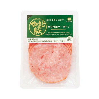 ■北海道・沖縄・離島へのお届けは別途送料を請求させていただきます。 ■製品の仕様・画像・パッケージは、変更される場合があります。 ■当店では在庫をメーカーと共有しており、商品によっては欠品の場合がございます。 　万一、ご注文頂きました商品が欠品の場合はご連絡させていただきます。 ■ご注文確定後のキャンセル不可です。 ■ラッピング（包装）対応不可です。国産やまと豚を使用したシンプルで昔ながらの飽きがこないポークソーセージです。うす切りにすることで食べやすくしなやかな食感がサラダにピッタリです。内容量90gサイズ個装サイズ：17×26×15cm重量個装重量：1000g仕様賞味期間：製造日より25日発送方法：冷蔵発送生産国日本 広告文責（ホライズン・03-5843-9512)栄養成分栄養成分(100g当たり)エネルギー:268kcalたんぱく質:13.2g脂質:23.7g炭水化物:0.4g食塩相当量:1.8g※この表示値は推定値です。原材料名称：ボロニアソーセージ(スライス)豚肉(国産)、食塩、香辛料/リン酸塩(Na)、調味料(アミノ酸)、酸化防止剤(ビタミンC)、発色剤(硝酸K、亜硝酸Na)、(一部に豚肉を含む)アレルギー表示豚肉（原材料の一部に含んでいます）保存方法10度以下で保存。製造（販売）者情報販売者:株式会社フリーデン神奈川県平塚市南金目227fk094igrjs