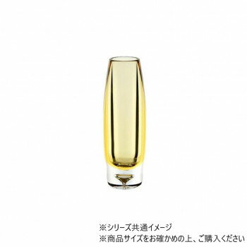 ■北海道・沖縄・離島へのお届けは別途送料を請求させていただきます。 ■製品の仕様・画像・パッケージは、変更される場合があります。 ■当店では在庫をメーカーと共有しており、商品によっては欠品の場合がございます。 　万一、ご注文頂きました商品が欠品の場合はご連絡させていただきます。 ■ご注文確定後のキャンセル不可です。 ■ラッピング（包装）対応不可です。ポリカーボネート製の花瓶です。そのため、高い所から落ちても割れにくく、丈夫になっています。お子様やお年寄りの多い場所にもお使いいただけます。※ポリカーボネート製品の「ブラウン」と「パープル」は、サイズによって色の濃さが異なります。※使用後は柔らかい布(専用布等)で優しく洗ってください。※洗剤については、研磨剤の入ったものを使用しますと製品に傷がつく恐れがございます。キズについて※優れた耐衝撃性を持っていますが衝撃を受けた際に、傷や凹みが付く場合がございます。また、製品同士がぶつかると両方に傷がつく恐れがございますので、ご注意ください。汚れに付いて※長時間水を入れたまま、又は汚れたまま放置すると、汚れが取れない可能性がございます。また、長期間直射日光の当たる場所や火気の近くで使用する場合、変色や変形して壊れやすくなる可能性がございます。薬品のご使用について※ベンジン/シンナー等の有機溶剤ガラスコーティング剤はご使用にならないでください。ひび割れ、変形の可能性がございます。※お花の延命剤は使用いただけます。温度について※耐熱耐冷温度は「-20〜120度」です。火元を離せば自然に火が消える「自己消火性」を備えており、ガラスのようにキャンドルを使用して破裂する心配もありません。※直接火が当たると変形します。ご注意ください。品質基準について※商品によって微量の気泡や微細な傷、製造過程で出来るしわがあるものがございますが、弊社及びメーカーの品質基準を満たしたものとなっており、不良品ではございませんので予めご了承ください。※商品底面に小さなロゴが入っているものがありますが、こちらは商品を識別するためのもので良品となります。※表記されているサイズ・重量には、多少の誤差がある場合がございます。サイズΦ6×H18cm、口径:Φ3cm個装サイズ：6×6×18cm重量370g個装重量：370g素材・材質ポリカーボネート仕様使用可能な洗剤:中性洗剤・弱アルカリ性・酸性系漂白剤を水で薄めたもの・クエン酸等・食洗機耐冷耐熱温度:-20〜120度生産国中国 広告文責（ホライズン・03-5843-9512)fk094igrjs