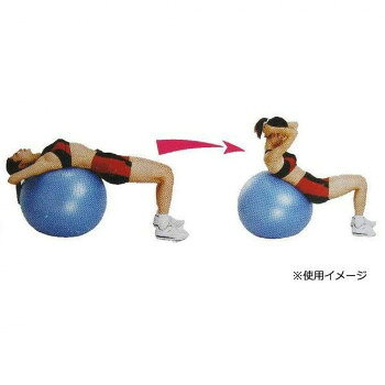 alineのSINTEX(シンテックス)　フィットネスボール 75cm　バランスボール　ブルー　NLS7675｜アングル2