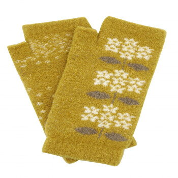 Arm Warmers - フレンズヒル アームカバー フェリシテ イエロー YW-228-182