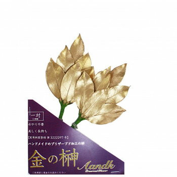 Flowers For Buddha - A＆K 日本製プリザーブド 金の榊(ミニSS) gSK-003