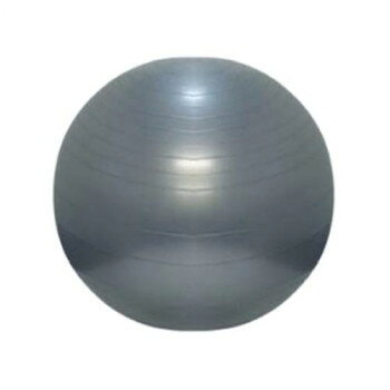Sports Equipments - 高田ベッド製作所 バランスボール(75) 直径75cm TB-1295-03