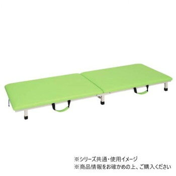 Foldable Bed - 高田ベッド製作所 付添ポータブル (折りたたみ式簡易ベッド) 幅55×奥行180×高さ17cm ライムグリーン TB-1262