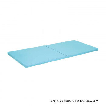 高田ベッド製作所 二つ折れ訓練マット 幅100×長さ190×厚み5cm スカイブルー TB-474