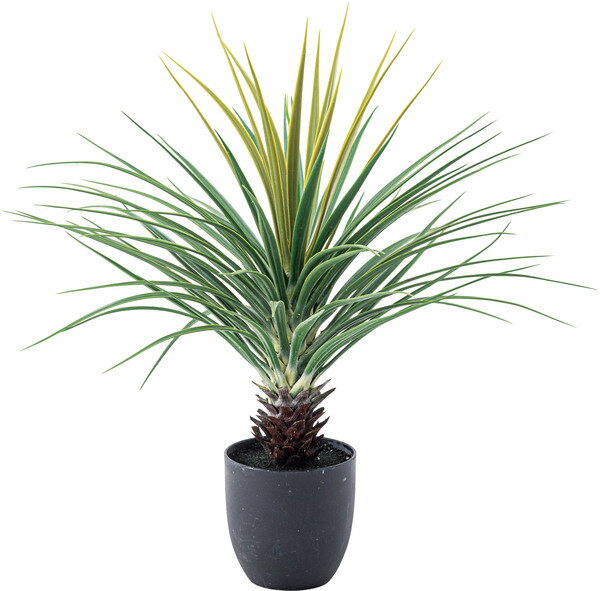 フェイクグリーン ミニパイナップル 観葉植物 人工観葉植物 葉 造花 インテリア 癒し リーフ おしゃれ ..