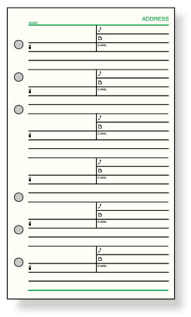 ダ・ヴィンチ アドレス(1ページ6名) 聖書サイズ システム手帳 リフィル davinci DR308