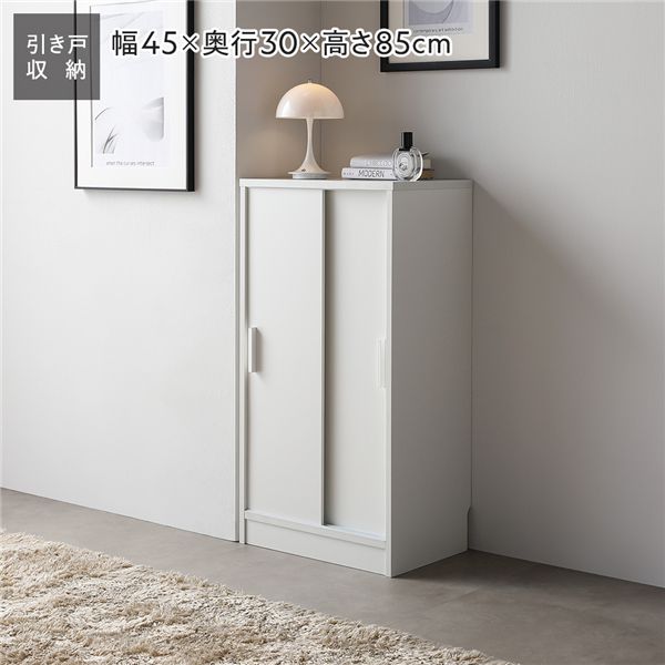 スリム 収納棚 キャビネット 約幅45×奥行30cm ホワイト 木目なし 薄型 引き戸 可動棚 背面なし 開閉ス..