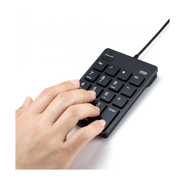 サンワサプライ USBテンキー NT-18CUBK