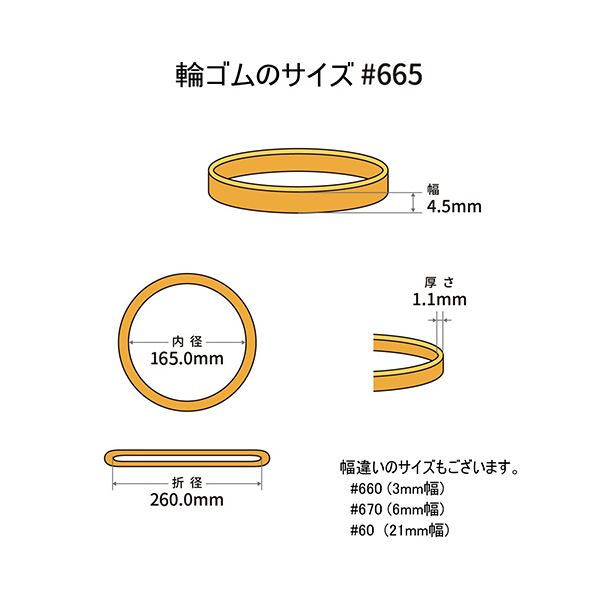 （まとめ） 共和 オーバンド#665 内径165mm 50g入 透明袋 GSA-N-033 1袋 【×5セット】