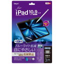 Digio2 iPad 10.9インチ用 フィルム 反射防止・ブルーライトカット TBF-IP22FLGCBC