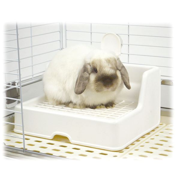 alineのおなやみ解決トイレ IV（アイボリー） (小動物用品/トイレ・砂・シーツ)【代引不可】｜アングル2