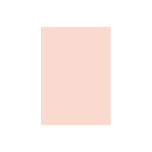 (業務用20セット)大王製紙 再生色画用紙/工作用紙 【八つ切り 10枚】 サーモン