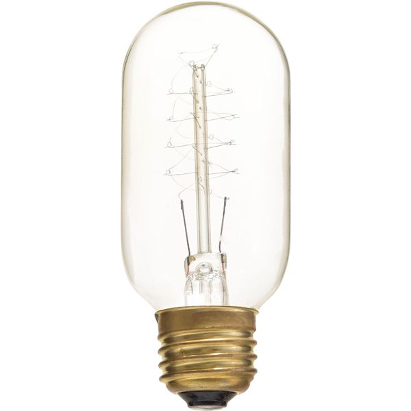 エジソン球SS クリア （W4.5×D4.5×H11cm） 完成品