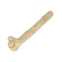 カフェウッド チャンプ L (ペット用品・犬用)