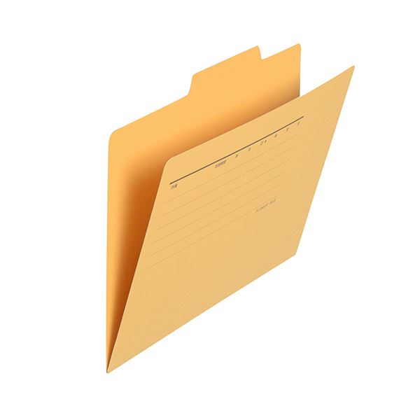 （まとめ） プラス個別フォルダー A5 イエロー FL-066IF 1セット（10冊） 【×10セット】
