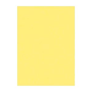 （まとめ） 文運堂 ニューカラーR 全判 横788×縦1091mm 10-108 きいろ 10枚入 【×2セット】