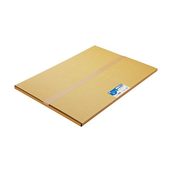 Other - （まとめ） TANOSEE 普通紙 A1カット 594×841mm 1箱（100枚） 【×2セット】