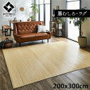 籐製 ラグマット/絨毯 【本間8畳 約200×300cm】 抗菌 防臭 耐久性 ひんやり 自然素材 インドネシア産 むしろ 〔リビング〕【代引不可】(3)
