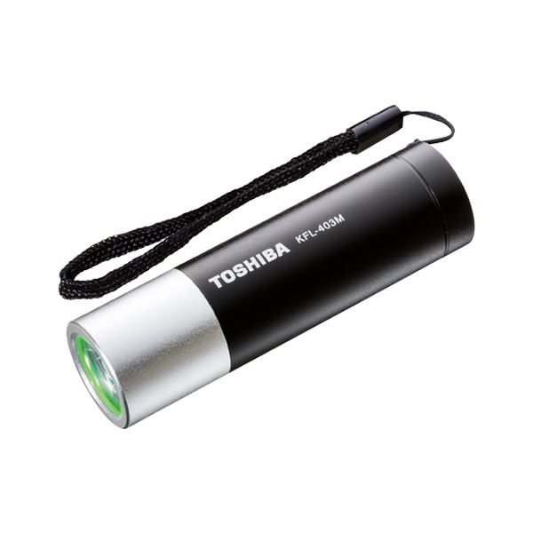 （まとめ） 東芝 ミニカラーLEDライト ブラック 【×10セット】