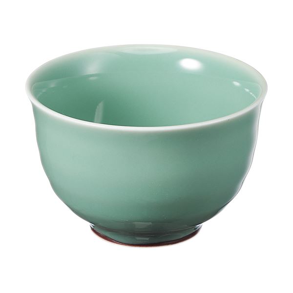 (まとめ) いちがま 天龍煎茶 1セット(5客) 【×10セット】