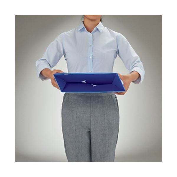 present book 好きなところ100 特装版 rose beige BS100T-02