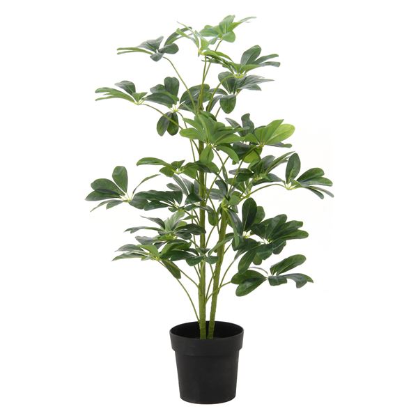 観葉植物 造花 幅50×奥行50×高さ120cm ヤドリフカノキ インテリアグリーン リビング ダイ ...