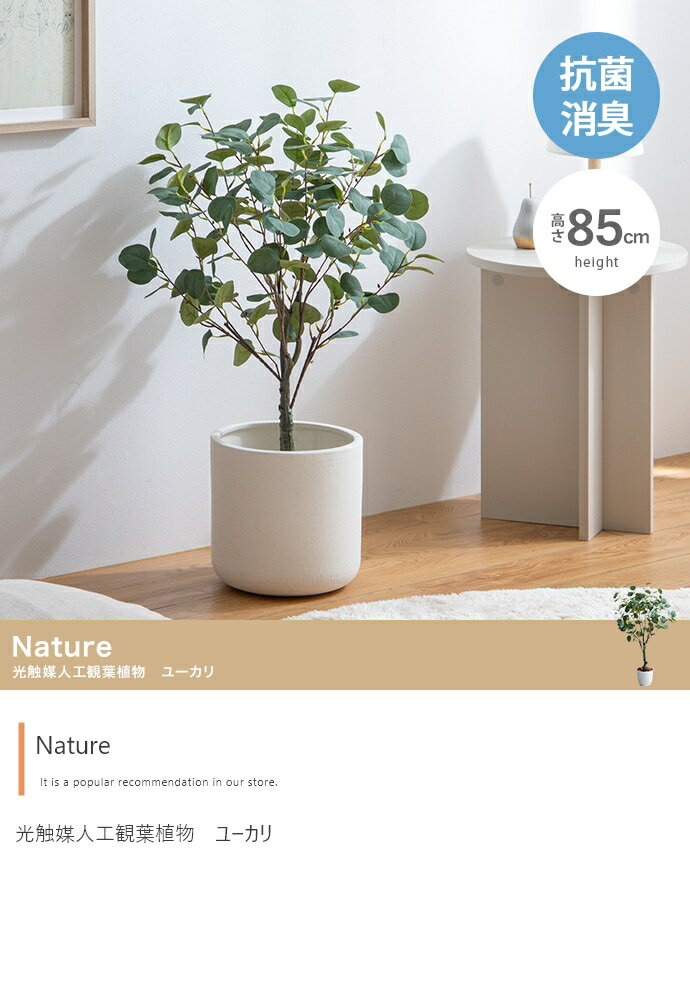 【高さ85cm】Nature 光触媒人工観葉植物　ユーカリ