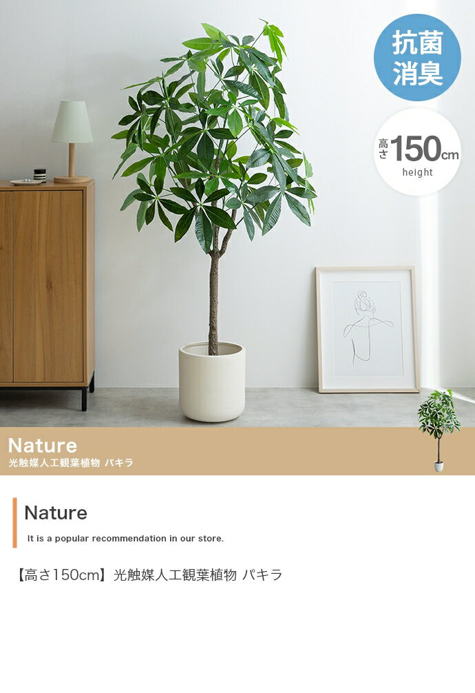 【高さ150cm】Nature 光触媒人工観葉植物 パキラ