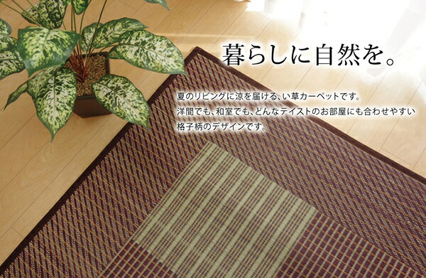 日本製 い草 ラグマット/絨毯 【格子柄 ブルー 約191×191cm】 裏地ウレタン 調湿 抗菌防臭 シンプルモダン 〔リビング〕【代引不可】 [3]