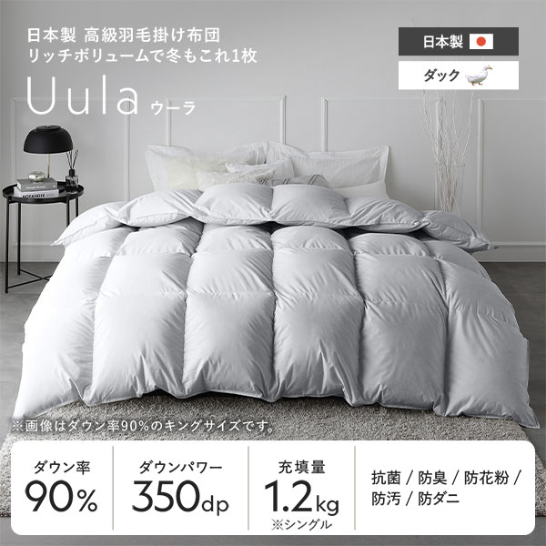 羽毛掛け布団 キング ライトグレー ダウン率90% 高品質ホワイトダックダウン 日本製 真冬も暖かい 防ダニ 防花粉 防汚 抗菌防臭 プレミアムピーチスキン加工 [2]