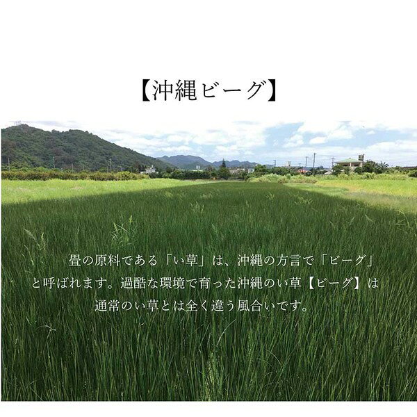 い草 ラグ マット 約128×200cm 長方形 ネイビー 調湿 空気浄化 消臭 沖縄ビーグ 日本製 国産 フロアマット 敷物 い草マット イ草マット【代引不可】 [3]