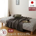 脚付き マットレスベッド 一体型 ショート丈 セミシングルサイズ 脚30cm ポケットコイル 極厚キルティング 耐荷重250kg 竹炭抗菌・防臭仕様 低ホルムアルデヒドF☆☆☆☆ 日本製 【組立設置サービス付き】【代引不可】