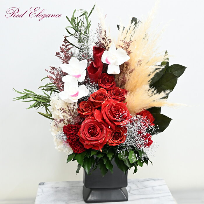 1�����ꡡ�����Ⱥ��ʡ����إ������ߥ���ӥ��塼�� Red Elegance�ʥ�åɡ����쥬�󥹡ˤΥץꥶ���֥ɥե� ����󥸥��� ����̵�� ���������䵭ǰ...