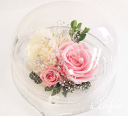 【プリザーブドフラワー ガラスドーム】 神戸テイスト 可憐な少女のようなガラスドーム ピンクの薔薇&白カーネーション 送料無料