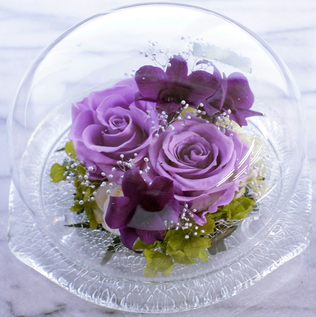 バラ ガラスドーム 【プリザーブドフラワー】紫の薔薇・パープルメモリードーム・ガラスドーム　濃淡紫のレイヤー　ほこりが付かない ギフト 誕生日　記念日 サプライズ　送料無料