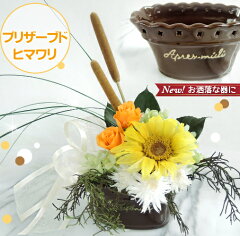 https://thumbnail.image.rakuten.co.jp/@0_mall/alinfini/cabinet/ma4/ma-05-11-4a.jpg