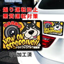 ドライブレコーダー ステッカー マグネット 犬 柴犬 黒 黒柴 ドラレコ かわいい カッコイイ おしゃれ アメリカン 目立つ 個性的 録画中 あおり運転防止 抑止 ヨコ型 後方録画 オリジナル UV加工