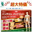 【12/4 20時~セール品更に最大10%OFFcp】 【在庫処分】【訳アリ】2023.12使用期限【第2類医薬品】バンテリンコーワパップホット 12枚 4987067208807 1,280円