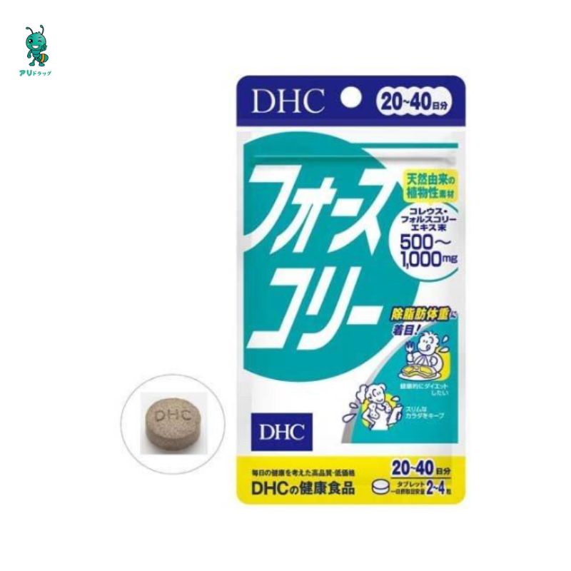 【アリドラッグ】 DHC フォースコリー 20日分 80粒 コレウスフォルスコリ(フォースリーン サプリメント　健康食品) （4511413403143）